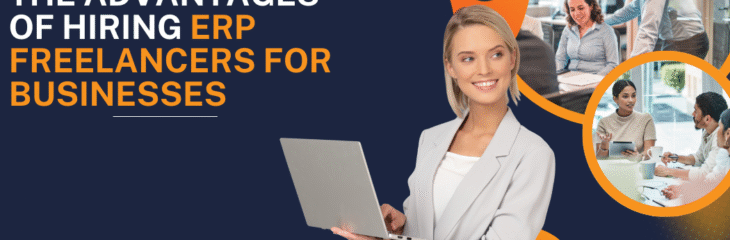The Advantages of Hiring ERP Freelancers for Businesses